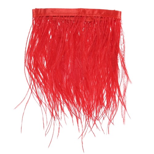 Piume struzzo per - piume,