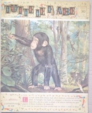 TUTTE LE FIABE DELLA NONNA -LA