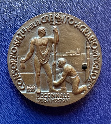 Medaglia consorzio nazionale - consorzio,
