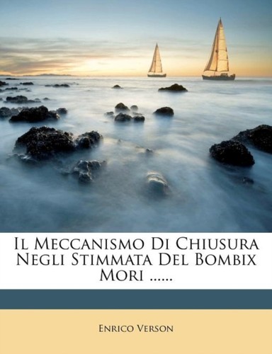 Verson meccanismo di - verson, il
