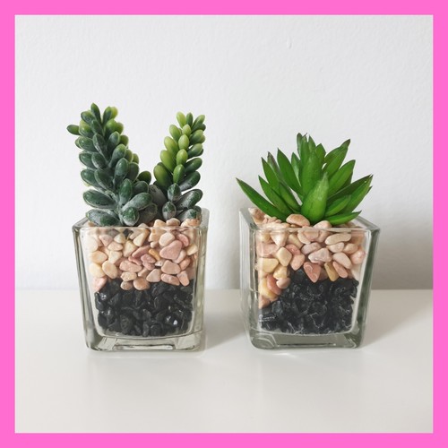 Mini piante finte succulente - piante,