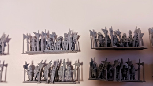 Warmaster alabardieri - warmaster,