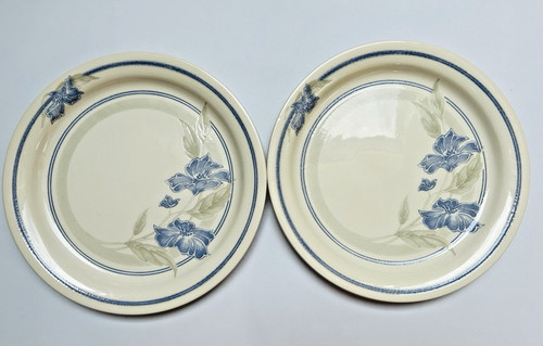 Set piatti vintage - set,