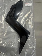 CARENA ANTERIORE INFERIORE