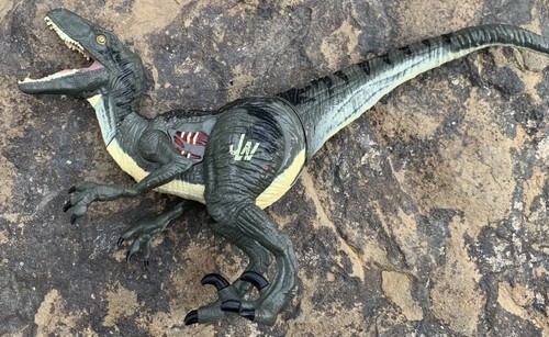 Jurassic world velociraptor - world,