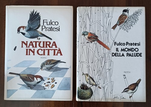Lotto libri fulco - lotto,