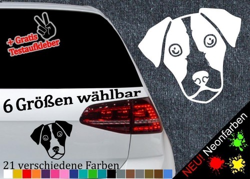 Adesivo testa jack russell - testa,