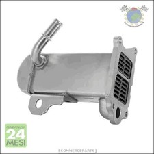 Scambiatore Valvola Egr