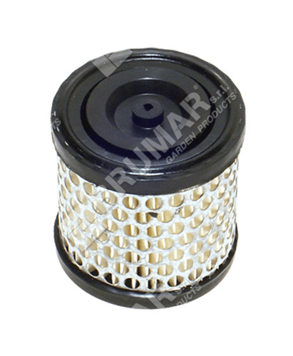 Filtro aria per - , briggs