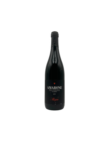 1997 allegrini amarone - allegrini,