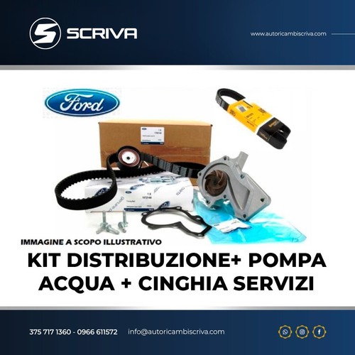 Kit distribuzione pompa - distribuzione, +