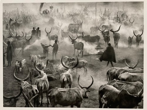Sebastiao salgado warhol - salgado, (warhol