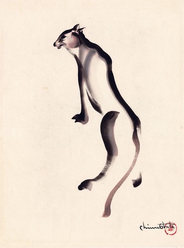 Leone montagna chiura - leone,