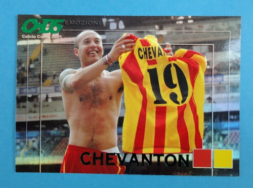Calcio cards 2005 panini - cards,