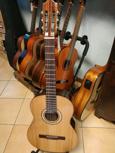 Murani professional chitarra - murani,