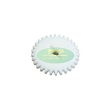 Ingranaggio pompa acqua denti