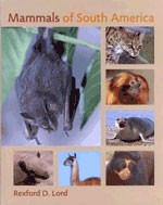 Mammals south america - mammals, of