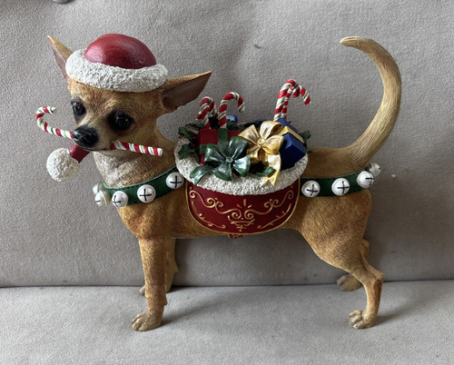 Danbury chihuahua marrone - marrone, come