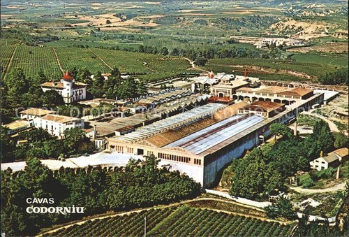 Cavas codorniu vue aerienne - codorniu,