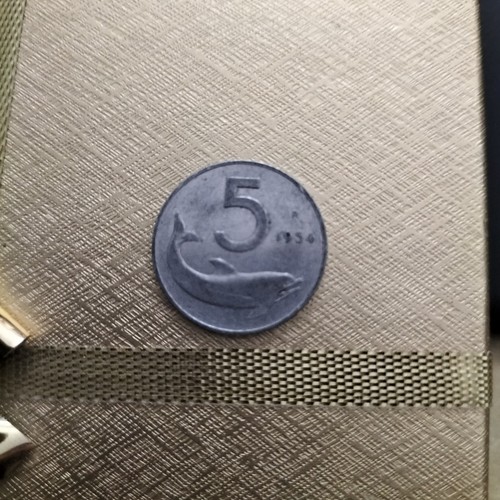 Moneta lire delfino 1954 - moneta,