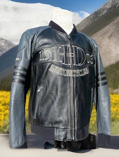 Harley davidson uomo cilindro - harley,