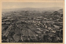 235/ALESSANDRIA - CASTEL SAN PIETRO - PANORAMA