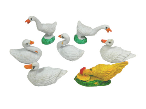 Set gallinacei animali da - set,