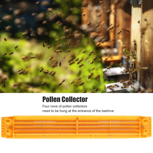 Trappola polline raccoglitore - polline,
