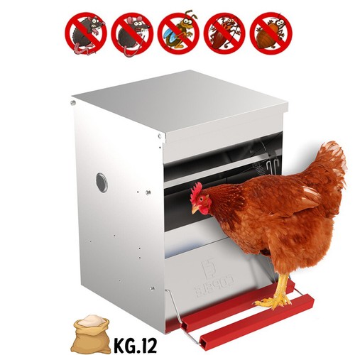 Mangiatoia per polli galline - per,