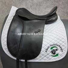 1998 County WB 2000 Dressage