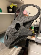 Teschio Protoceratops 1:1 su