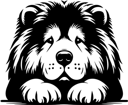 Adesivo chow - chow,