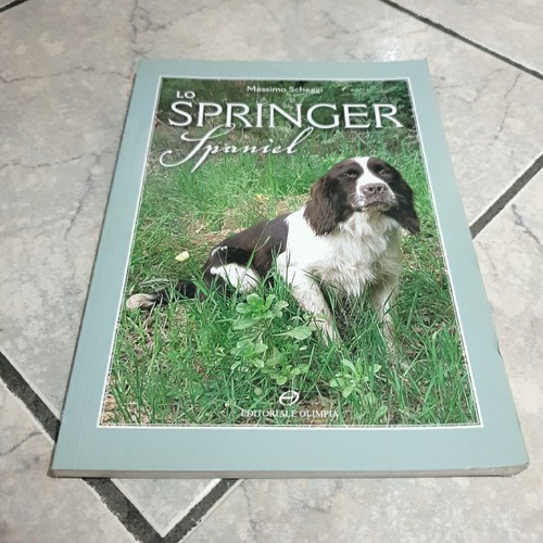 Massimo scheggi springer - massimo,