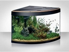 Askoll TENERIF VISUS 175