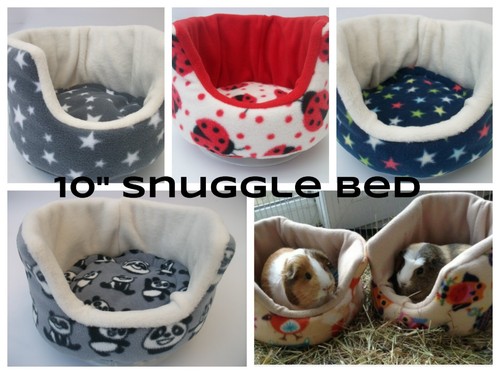 Design 10 cavia - ****28, ***cavia
