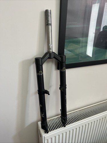 Pace rc31 forcelle carbonio - rc31,