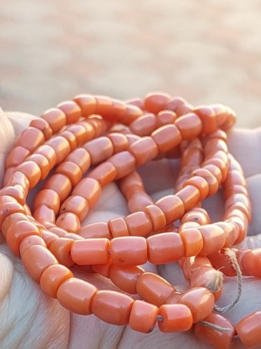 Corallo antico naturale - naturale, 39