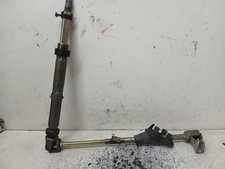 CANNA DELLO STERZO (PIANTONE)