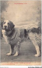 AILP6-0577 - CANE - Viscos -