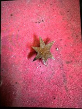 SPILLA STELLA VINTAGE