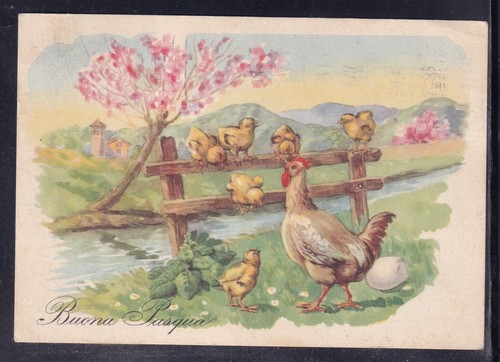 Cartolina buona pasqua - cartolina,