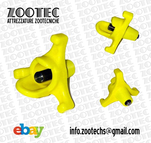 Abbeveratoio galline polli - galline,