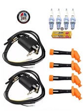 2 x Ignition Coils & NGK Spark