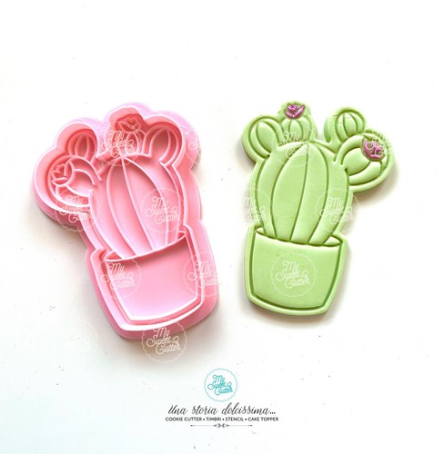 Pianta grassa cactus - grassa,