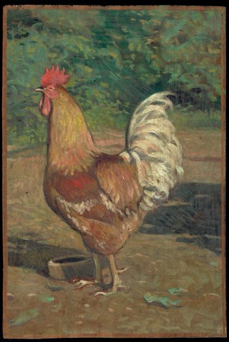 Dipinto olio gallo ruspante - gallo,