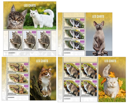 Cats