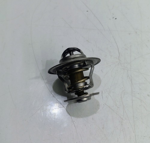 Termostato sea doo rxp - termostato,
