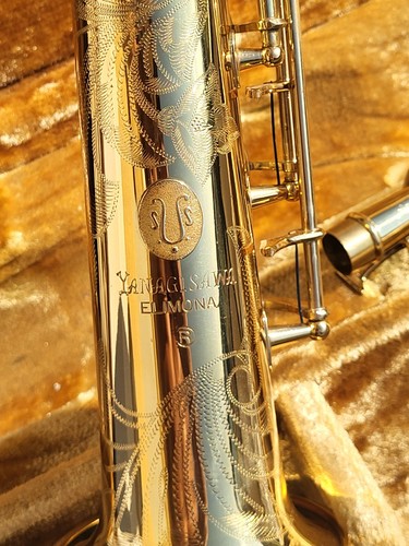 Janagisawa elimona s880 - janagisawa,