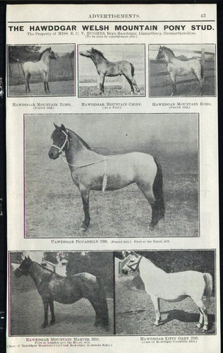 Vintage advert for the - vintage, (1913)