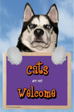 Insegna GATTI NON SONO I